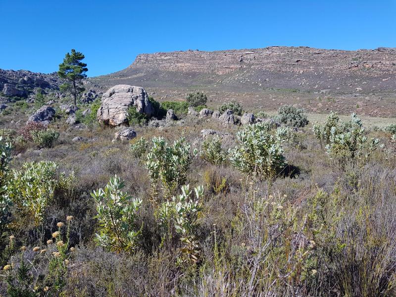 6 Bedroom Property for Sale in Piketberg Rural Western Cape